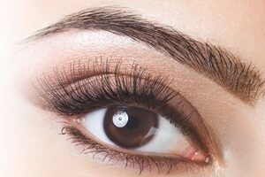 Brow Lamination